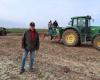 170,000 tulips planted against cancer by this Val-d'Oise Lions Club