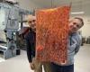 Last sequin manufacturer in France, this company supplies the biggest luxury houses – Ouest-France evening edition