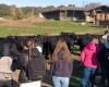 Sainte-Livrade-sur-Lot. Meat day at the agricultural high school