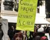 This week in Hérault: demonstrations by retirees and civil servants, boycott action against the genocide