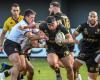 Rugby – Challenge Cup: USAP will use the European Cup to prepare for the important block of Top 14 to come