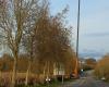 A Cotentin road closed for three days to install a 30-meter footbridge