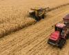 Russia dethrones France and becomes the main supplier of wheat to this country – La Nouvelle Tribune