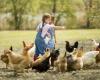 Would growing up on a farm protect children from allergies?