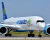 14.5 million euros in sanctions for Air Caraibes and Air Antilles