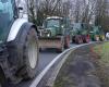 For “less complexity in paperwork”, farmers still mobilized in Pas-de-Calais