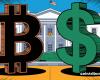 Trump between the Dollar and Bitcoin