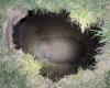 She falls into a hole while looking for her cat, a grandmother cannot be found in the United States