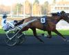 Quinté+ from Friday December 6 Vincennes-Prix Brasilia: Jovial Haufor