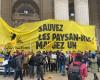 around 200 people present in front of the Grand Palais in Paris for a punch action