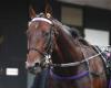 more comfort for Ksar in Vincennes