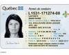 Driving licenses for immigrants and failure rate too high: Access will be restricted for new arrivals