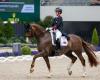 For having whipped her horse too much, Charlotte Dujardin suspended for a year