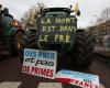 Mercosur: joint mobilization of French and Belgian farmers on the A2, demonstration in Paris