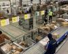 More than 10,000 packages per day, the sorting center of La Poste du Lot-et-Garonne in full rush as the end-of-year holidays approach