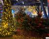 Christmas 2024 in Aubervilliers (93): lights, Christmas market and little train