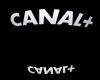 The Canal+ group will cut 250 positions, according to the inter-union association