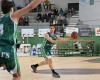 Amateur basketball – National 3: Valence-Condom must win at Cugnaux at all costs to spend the holidays outside the relegation zone