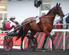 The eighteen starters for the 2024 Prix du Bourbonnais in Vincennes