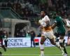 Pro D2 – Soyaux-Angoulême brings down Montauban, Nevers showers Nice… The results of the thirteenth day