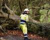 Electricity networks issue safety advice ahead of Storm Darragh