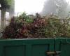 This Yvelines town suspends the collection of plant waste during the winter