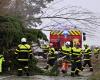 Fire in a cinema, roof of nursing home torn off, accidents: the damage from storm Darragh in Pas-de-Calais