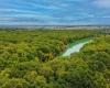 This magnificent Gers forest will soon be partly closed to the public, here’s why