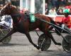 Ariste Hémard Prize: the titled NINETTA BOKO is tested at Vincennes