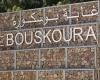 Casablanca: saving the ecological heritage of the Bouskoura forest