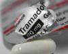 Tramadol and codeine: is France doing too much against opioids? : News