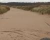 Completely silted up, this road in Brittany will remain closed for several days