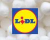 Lidl is taking care of your toes this winter, with its wool slippers for less than 20 euros