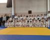 Pennautier: young judokas from the region are preparing for the competition