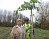 This municipality in Gironde has decided to create a forest very close to its city center