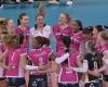 Volleyball: The European adventure continues for the VNVB