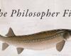 “The Philosopher’s Fish” voted weirdest book of the year in the United Kingdom – Libération