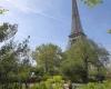 Paris will green 120 new streets by planting a thousand trees in the face of heat waves