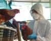 Avian flu, “a mutation” from transmission between humans