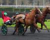 PMU – Arrival of the quinté on Wednesday December 11 at Paris-Vincennes: Great Tigress loves speed