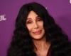 Cher and 'Mary Poppins' star Dick Van Dyke forced to evacuate