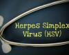 More than one in five adults infected with genital herpes virus