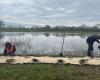 Riparian forest plantation on the banks of the Sarthe