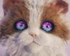 Catly promises a photorealistic cat game, but its tech is a mystery