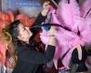 Vendée feathers on the costumes of Miss France candidates