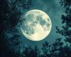 The December Full Moon illuminates the end of the year with several astrological signs