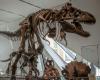 Dinosaur fossil auction for £12.4 million