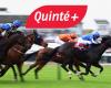 Quinté+ prediction for Saturday December 14 at Chantilly: Prix de Caumont