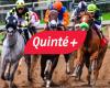 Quinté+ prediction for Sunday December 15 at Vincennes: Jean Dumouch Prize