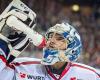 An influential agent to orchestrate the return of Fucale